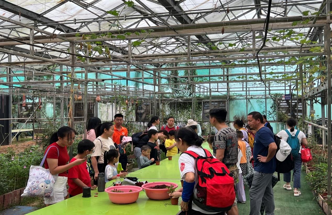 中海怡翠社区居民走进生态农场 深入了解农作物生长过程